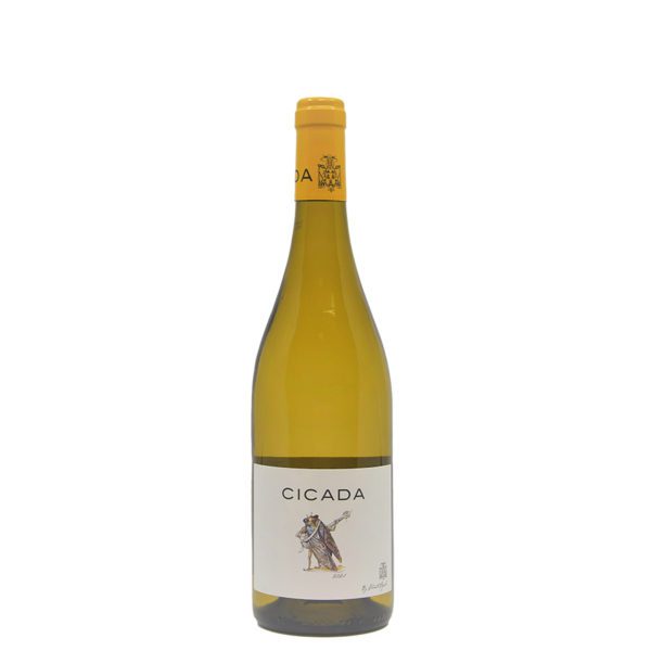 Cicada blanc 2021 vin a marseille sommelier