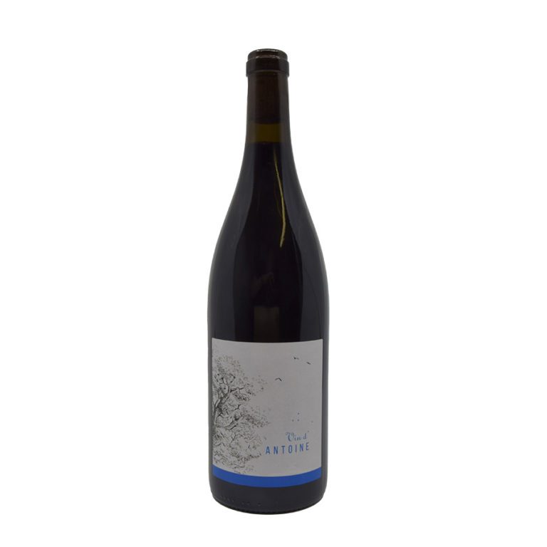 Vin d’Antoine Thierry Michon Vin de France rouge 2021